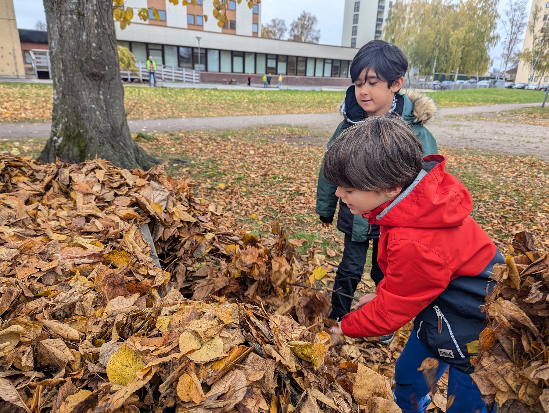 Två skolelever i en höstig lövhög