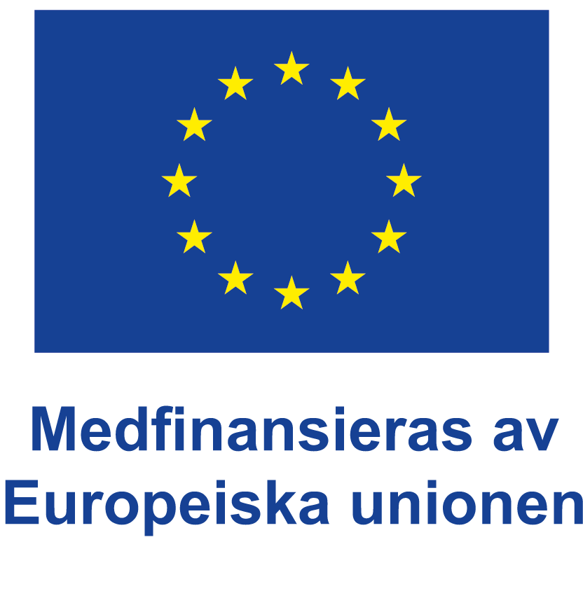 Europeiska flaggan